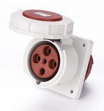 63A 3P+PE IP67 Panel mounted socket (MN6532)