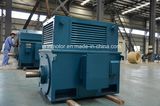 Pm Sm Series Permanent Magnet Motor