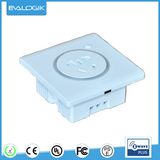 Z-Wave OEM Wall Switched Socket EU Standard Electrical Switch with Ce (ZW691)