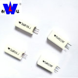 Ceramic Encased Wire Wound Resistor with ISO9001