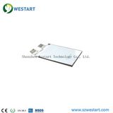 Westart Ncm Lithium Ion Polymer Cell Battery 3.7V30ah