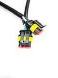Automotive Wire Harness Cable Assembly