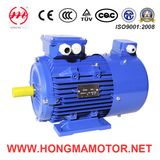 Asynchronous Frequency-Variable Motor with Cast Iron Housing (355L1-4-280KW)