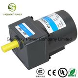 EVA AC Reversible 25W 80mm Gear Motor