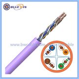 2 Pair CAT6 UTP LAN Cable