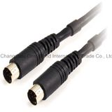 S-Video Lead