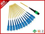 12 Fibers Optical Multimode Ribbon MPO Single Compact Ttrunk Orange Cable