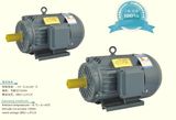 Pole-Changing Multi-Seed Three Phase Asynchronos AC Motor