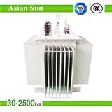 11kv 630kVA Oil Immersed Power Distribution Transformer