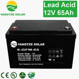 Yangtze Power 12V 65ah VRLA AGM Battery