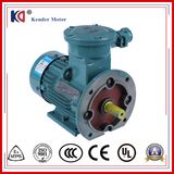 380V 50Hz Explosion-Proof 3phase Induction Electric Motor