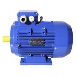 Doublespeed Electric AC Motor (80M1-4P/2P-0.45/0.55)