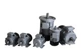 MS Series Aluminium Body Three Phase Motor