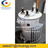 Single Phase Iron Core 10kv Power Transformer Series