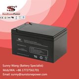 Deep Cycle 12V 14ah AGM Type SLA Battery for EPS & UPS Power System