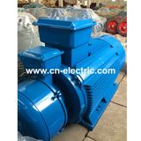 Yr Slip Ring AC Wound Rotor Electric Motors