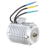 Logistics Electric Vehicle Auto Motor
