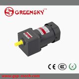 AC Induction Small Gear 60W Motor with Terminal Box