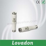 R024 E16 Screw Base Fuse