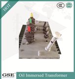 Oil Immersed Power Distribution Transformer/Electric Transformer with Ce and TUV Standard