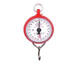 Spring scale