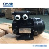 Ms Series Aluminum Housing Three Phase Electric AC Motor