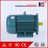 High Efficiency Three-Phase Electric AC Motor for Woodworker Machinery