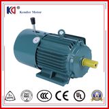 Squirrel Cage AC Brake Motor with Cast Iron Housing