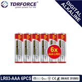 1.5V Digital Alkaline Battery Dry Battery with BSCI (LP03-AAA 6PCS)