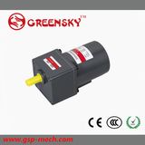 110V 40W AC Reversible Geared Motor with CE