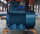 Explosion-Proof Permanent Motor for Mining Center Height132~315)