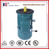 380V50Hz Embr Electric (Electrical) AC Braking Motor with Three Phase