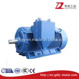 355~560 High Voltage 6kv/10kv, 2-8 Poles Three Phase Asynchronous Motors for Compressor