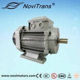 High-Efficiency AC Permanent-Magnet Motor 750W, Ie4