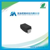 Electronic Component High Voltage Power Schottky Rectifier Diode