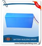 36V 10ah Shrink Battery Pack for E-Bike