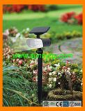 Solar Spot Light with Motion Sensor