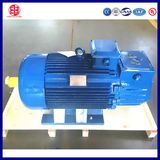 110V Three Phase Induction Motor Slewing Motor for Tower Crane