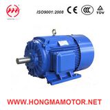 NEMA Series High Efficiency Three Phase Induction Motor