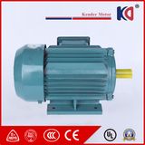 High Efficiency Three-Phase Induction Motor (Y2 Series)