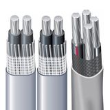 UL854 Listed Seu and Ser Two Conductor Concentric Cable