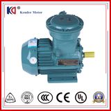 YB3 Series Explosion Proof Three Phase Induction Motor