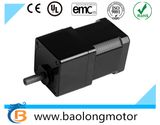 17WLNS240815-BG5 42mm*42mm Slowdown Geared BLDC Motor