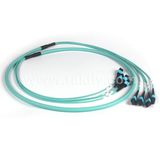 8f 12f 24f 48f 72f 96f Om3 MPO Fiber Optic Jumper
