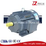100% Copper Winding IEC Three Phase Asynchronous Electric Motor
