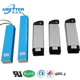 18650 30ah 36V Lithium Ion Battery for E-Bike