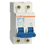 MCB Miniature Circuit Breaker (DZ47-63) 2 Poles