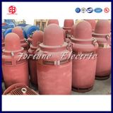IP54 Totally Enclosed Electric AC NEMA Premium Efficiency Motor