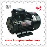 Fs 80~160 AC Electric Motor
