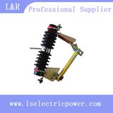 Outdoor High Voltage Drop-out Fuse Cutout (RW7-10KV)